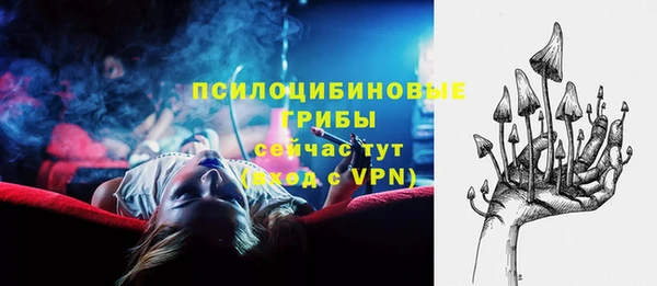 спайс Бежецк