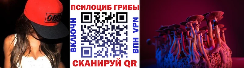 OMG онион  Ивдель  Галлюциногенные грибы Psilocybe 